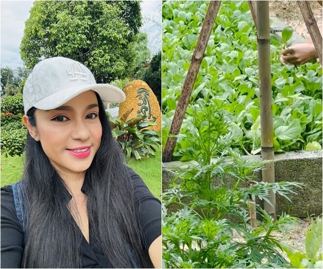 Cuộc sống amp;#34;thôn quêamp;#34; của Việt Trinh ở nhà vườn 3.000m2: Có vườn rau xanh thích mắt, ai nhìn cũng thấy an yên - 1