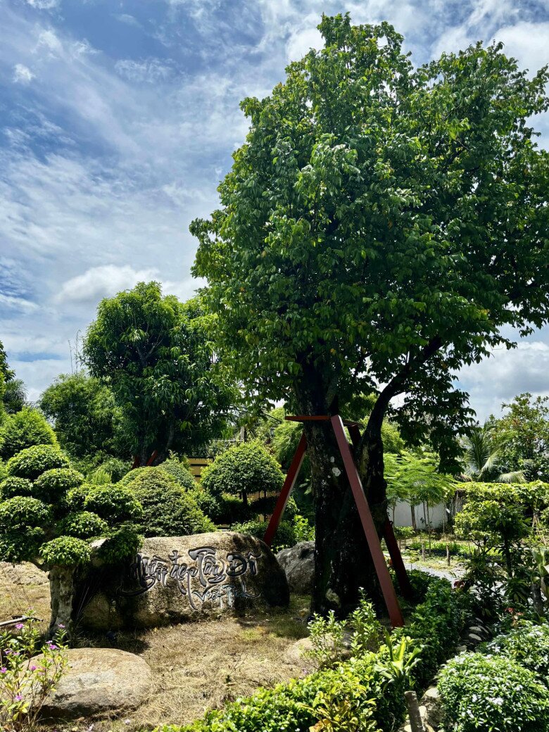 Một người bạn để lại bình luận: “Chị may mắn sở hữu được lô đất rộng và đẹp. Mua lúc giá đất còn mềm. Tầm nhìn hơi bị chuẩn chị ơi”. Việt Trinh chỉ trả lời giản dị: “Do chị mê trồng trọt á em”.