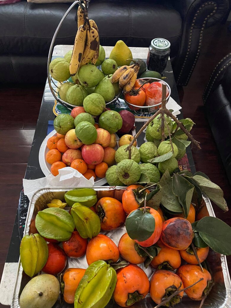 Danh ca Hương Lan có giàn bầu được nhiều nghệ sĩ đến thăm, yên ấm cùng chồng kỹ sư trong nhà vườn 1.000m2 - 13