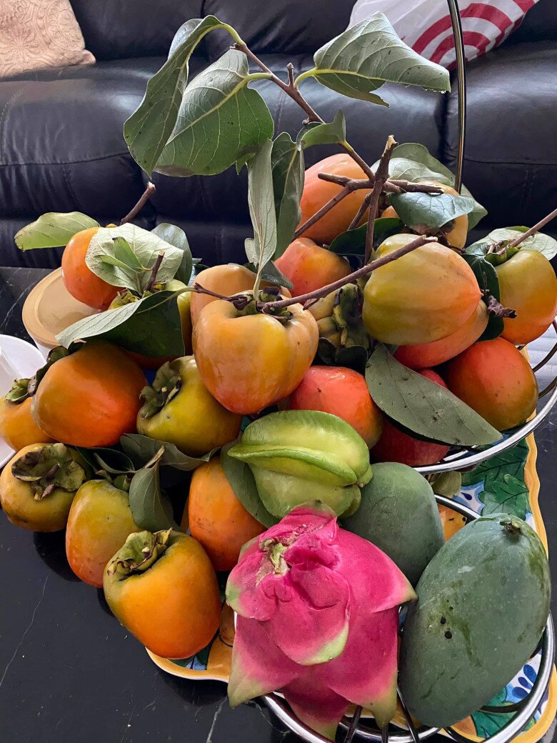 Những thành quả từ khu vườn làm họ thích thú. Khay trái cây đủ loại – từ hồng giòn, xoài, khế đến thanh long... vợ chồng bà Hương Lan luôn ưu tiên dùng quả sạch do chính tay mình chăm sóc.
