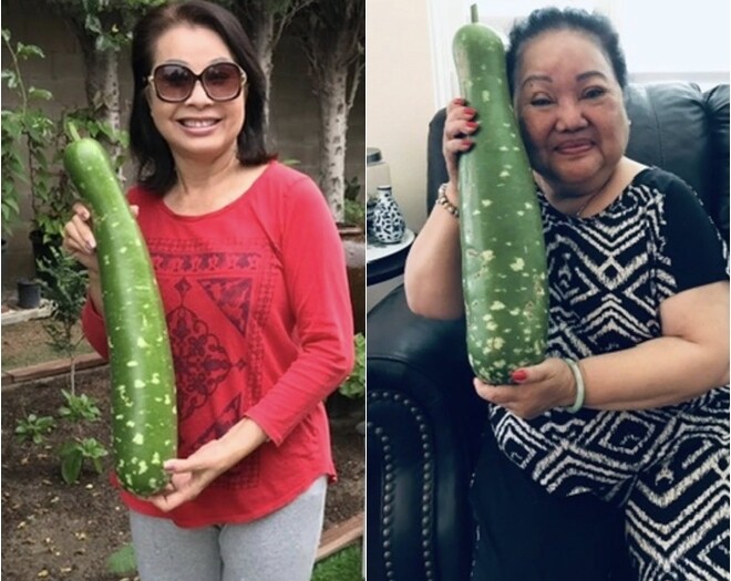 Danh ca Hương Lan có giàn bầu được nhiều nghệ sĩ đến thăm, yên ấm cùng chồng kỹ sư trong nhà vườn 1.000m2 - 2