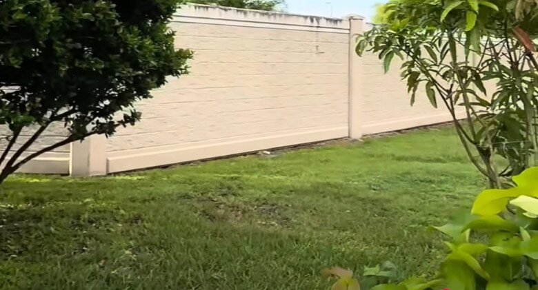 Em trai ruột hé lộ khu vườn rộng nhà Hoài Linh bên Mỹ, có cây ổi lạ và nhiều cây trái Việt Nam - 19