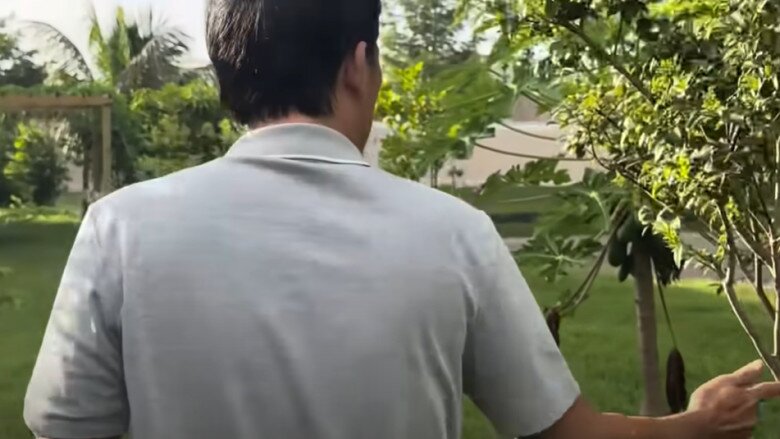 Em trai ruột hé lộ khu vườn rộng nhà Hoài Linh bên Mỹ, có cây ổi lạ và nhiều cây trái Việt Nam - 6