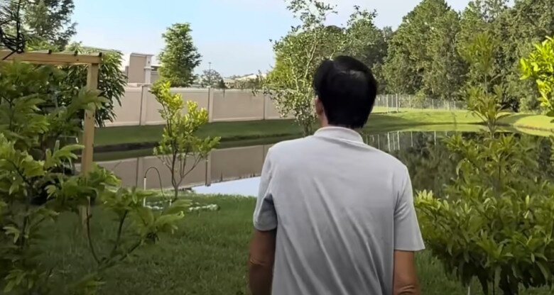 Trong vườn có một khoảng hồ nhỏ giữa khung cảnh đầy cây và thảm cỏ xanh trông rất bình yên.