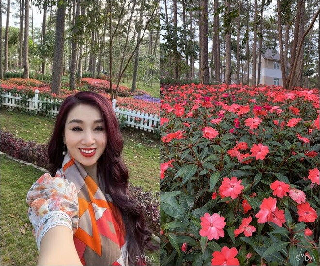 Hoa khôi Việt giàu có sắm loạt nhà như mơ, vừa khoe cơ ngơi mới ở Mỹ có khu vườn toàn hoa tuyệt đẹp - 2