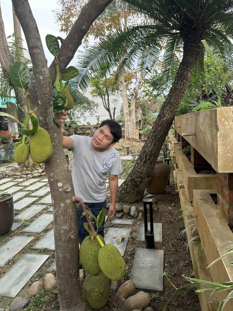 Vườn rau tươi tốt được người thân của Trọng Tấn chăm sóc. Từng luống rau, cây trái đều khiến anh thích thú và thấy thân thương.