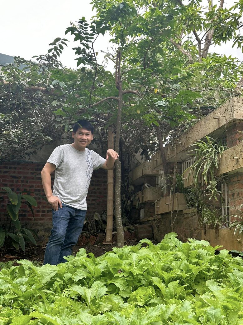 Khu vườn của Trọng Tấn ở quê nhà Thanh Hóa: Bưởi - hồng sai lúc lỉu, có loại rau làm nhiều người nhớ quê - 14
