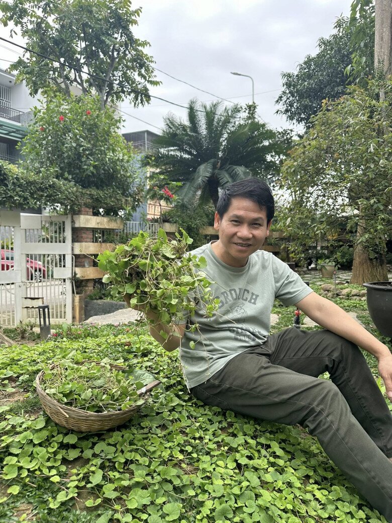 Khu vườn của Trọng Tấn ở quê nhà Thanh Hóa: Bưởi - hồng sai lúc lỉu, có loại rau làm nhiều người nhớ quê - 18