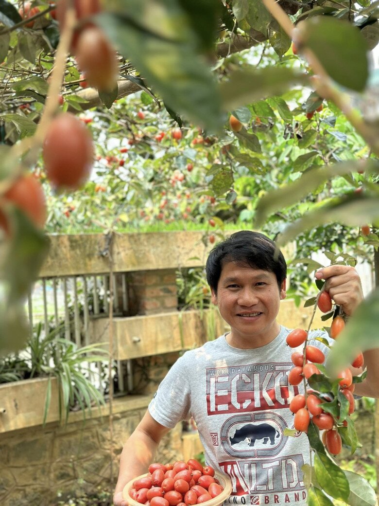 Khu vườn của Trọng Tấn ở quê nhà Thanh Hóa: Bưởi - hồng sai lúc lỉu, có loại rau làm nhiều người nhớ quê - 8