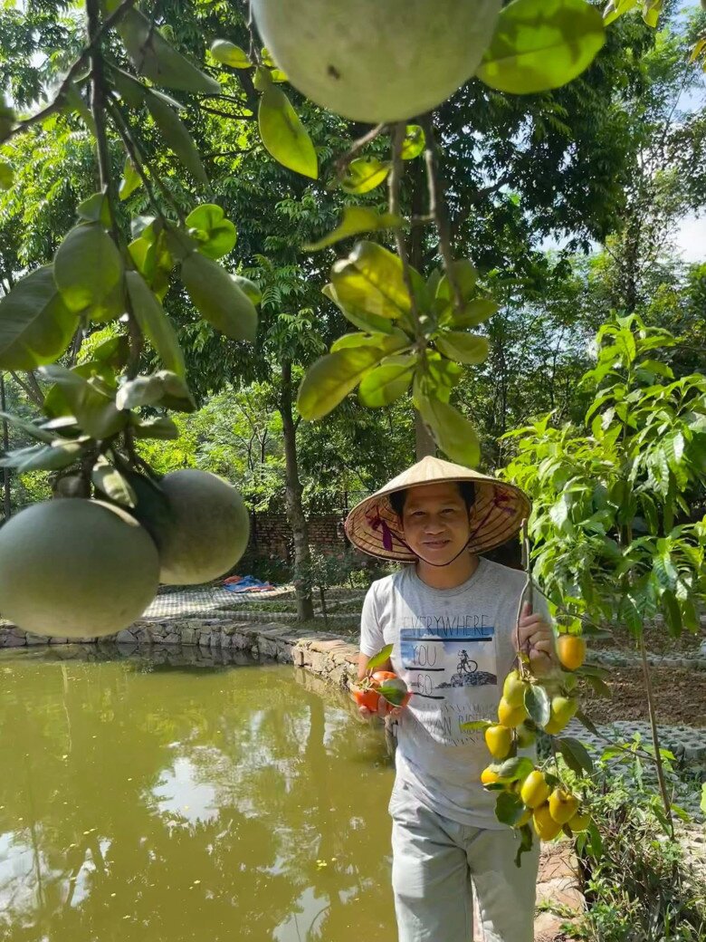 Nam ca sĩ rạng rỡ khi thu hoạch hồng chín và bưởi đang vào mùa. Khung cảnh thanh bình, cây trái trĩu quả như một phần thưởng cho những ngày tháng anh tự tay chăm bón khu vườn.