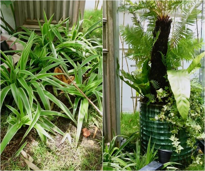 Không gian sân thượng rộng thoáng, đủ ánh sáng, được thiết kế hài hòa giữa khung cảnh thiên nhiên với nội thất do bạn trai của Hồng Nhung – kiến trúc sư Gerhard Heusch lên ý tưởng.