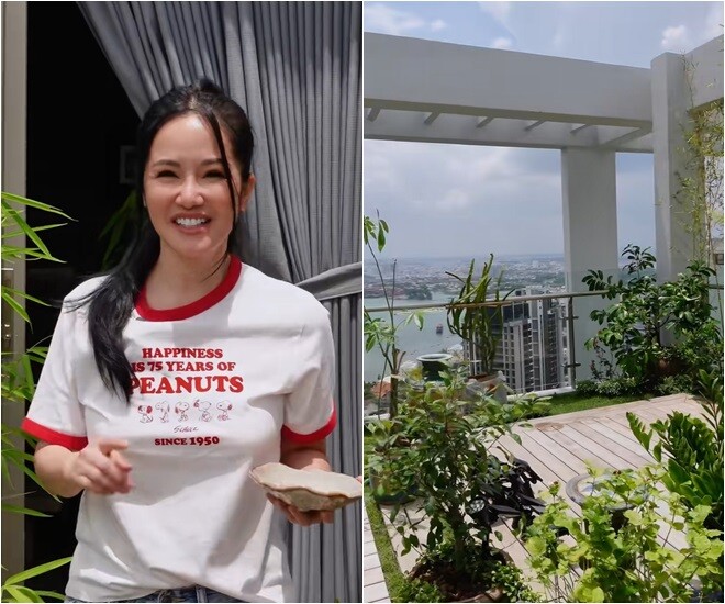 Người mệnh Hỏa và Thổ nếu sở hữu cây này, dễ phát triển sự nghiệp, thu hút cơ hội làm ăn và may mắn