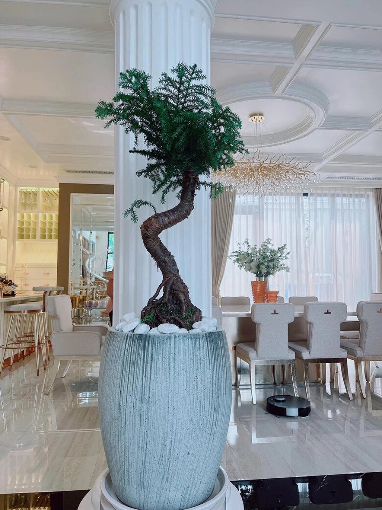 Phòng khách thiết kế mở với cột trụ lớn kiểu Corinthian cùng nhiều cửa vòm, giúp không gian đón ánh sáng tự nhiên tràn ngập. Mảng xanh từ bonsai và cây cảnh không chỉ mang lại sức sống mà còn thêm nét hài hòa, thư giãn cho toàn bộ không gian nội thất.