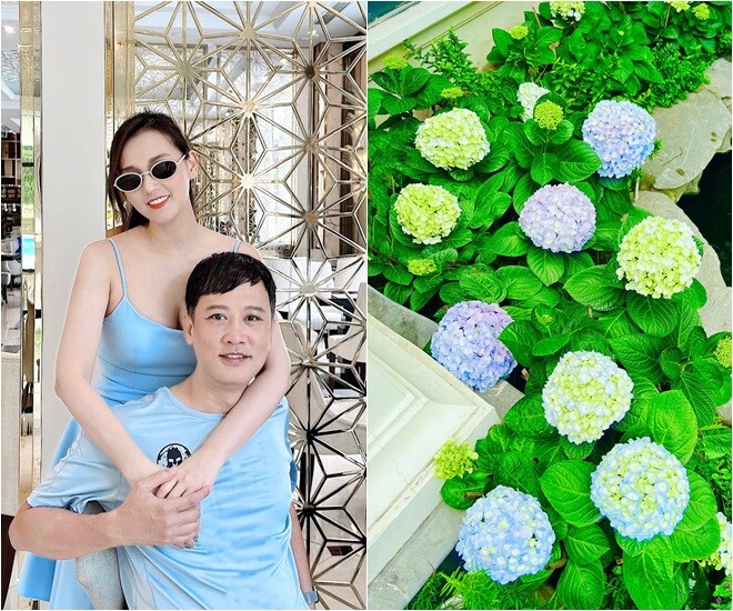 Cẩm tú cầu - loài hoa viên mãn với từng cụm bông tròn xoe như chiếc cầu ôm lấy sự bình yên, không chỉ khiến nhiều người ngẩn ngơ mà còn là loài hoa đặc biệt được lòng Lã Thanh Huyền.