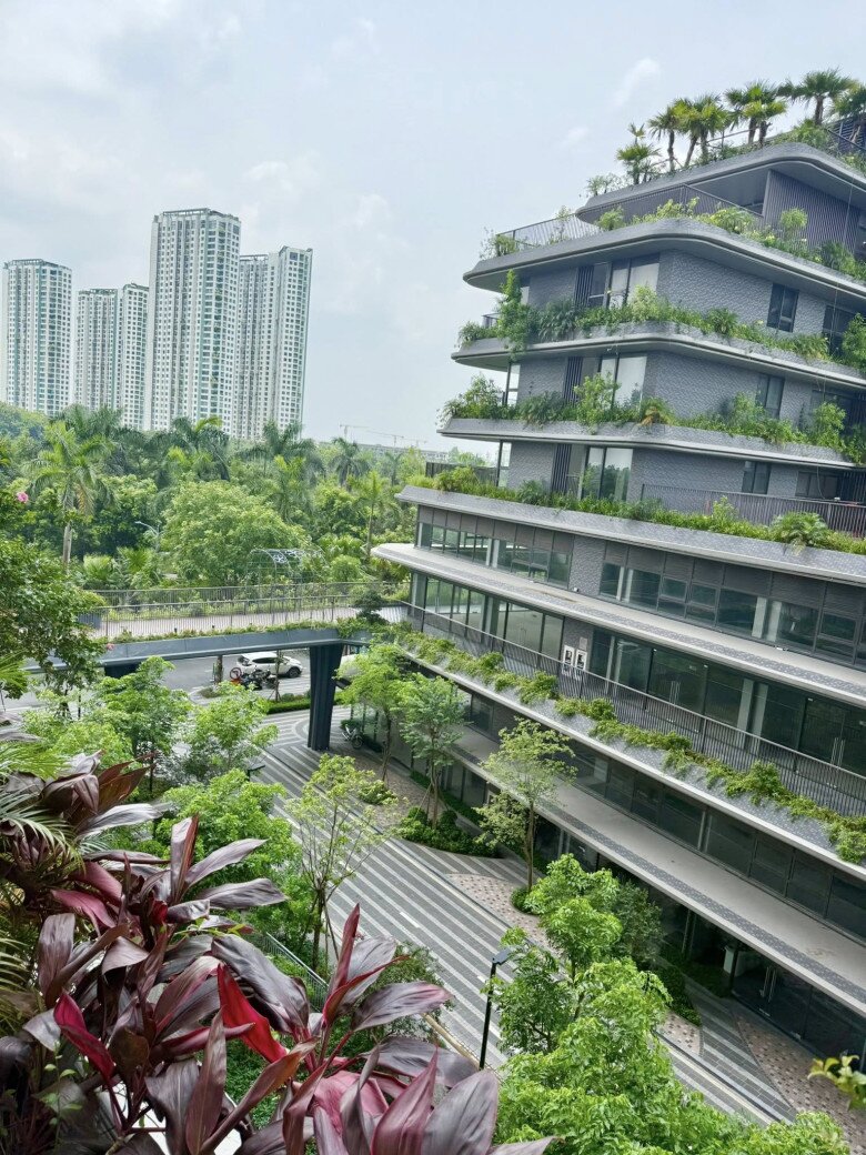 Ly Kute bày tỏ: Góc view phòng khách thật là Singapore gì đâu. Ban công hướng ra một khu đô thị xanh với thiết kế giật tầng phủ đầy cây cối. Nhìn từ căn hộ có thể thấy rõ mảng xanh trải dài, vừa đẹp mắt vừa mang lại cảm giác bình yên - một lý do khiến Ly Kute “phải lòng” ngôi nhà này.