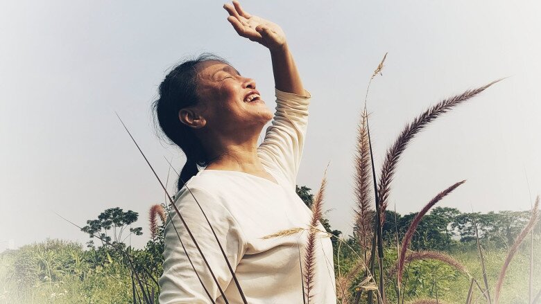 Cỏ có tán mềm, màu hồng nhạt, tạo cảm giác mơ màng, đặc biệt vào những buổi sáng có sương.