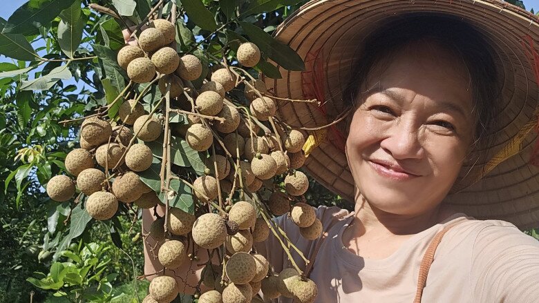 Nhãn cũng rất được mùa nhưng nghệ sĩ tiếc nuối: Sáng qua cây còn trĩu trịt, định chờ thêm vài ngày cho nhãn thật ngon và chờ cả nhà có mặt đủ quân số, nhâm nhi chiến công của người nông dân. Vậy mà... Sáng nay ra chỉ mót được thế này. Huhu.