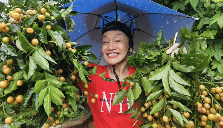 Trái cây lúc lỉu trong vườn. Mỗi mùa lại có chuyện để kể làm mọi người nghe mà vui lây.
