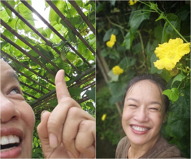 amp;#34;Mẹ Phương Oanhamp;#34; Hương vị tình thân vui thú trong khu vườn tuyệt đẹp ở ngoại ô, có loài cỏ như ở Đà Lạt - 19