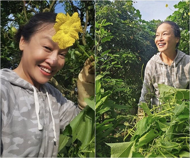 Không phấn son, không phục trang cầu kỳ, nữ nghệ sĩ xuất hiện mộc mạc trong bộ đồ lao động, nón lá, tay lấm đất, giữa vườn rau xanh hay cây trái trĩu quả.