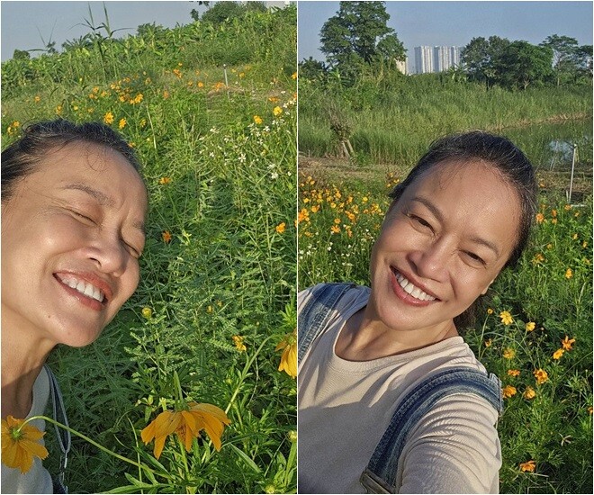 Loài hoa này không sang chảnh hay đỏng đảnh, chỉ cần một khoảng đất đủ nắng, chúng đã có thể bung nở từng cụm, nhẹ nhàng lay động trong gió.