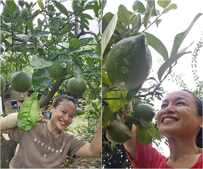 amp;#34;Mẹ Phương Oanhamp;#34; Hương vị tình thân vui thú trong khu vườn tuyệt đẹp ở ngoại ô, có loài cỏ như ở Đà Lạt - 21