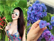 Loài hoa đặc biệt làm sao nữ giàu nhất miền Bắc mê mẩn, trồng khắp biệt thự hàng chục tỷ