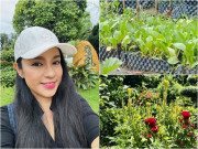 Cuộc sống thôn quê của Việt Trinh ở nhà vườn 3.000m2: Có vườn rau xanh thích mắt, ai nhìn cũng thấy an yên
