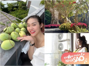 Nhà đẹp - 19 tuổi lấy chồng rồi làm mẹ đơn thân, nay Diệp Bảo Ngọc sống trong ngôi nhà đầy hoa, Kim Tuyến ở nơi tối giản