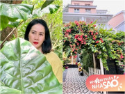 Bà mẹ trong phim Mưa Đỏ ngoài đời có cơ ngơi 4 tầng cực xinh, nhưng con gái từng nói không muốn bước vào nhà