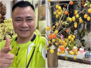 Nhà đẹp - Không chỉ ngon, loại quả mùa thu mang ý nghĩa no đủ được nhà NSND Tự Long, MC VTV mang về trưng đẹp mắt