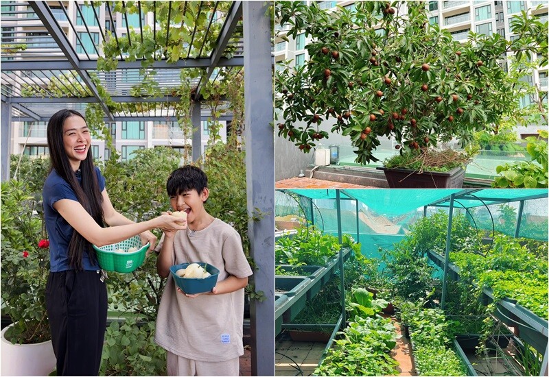 Cô thường chia sẻ: “Ngày thường, tôi hay dành thời gian thăm vườn trên sân thượng… Bận quá thì 2–3 ngày cũng phải lên xem các ‘em’ lớn thế nào”.