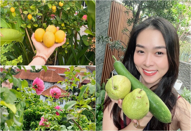 Rất nhiều thành quả từ khu vườn được bà mẹ đơn thân chia sẻ với niềm say mê, điều đó khiến cô thích thú hơn cả những món quà đắt tiền.