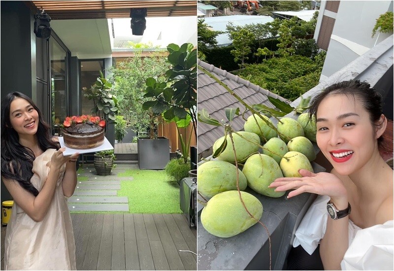 Hơn 10 năm sau, bà mẹ đơn thân nắm giữ 3 công ty, sở hữu tài sản nhiều người mơ ước. Cô xây dựng cuộc sống bình yên, gần gũi thiên nhiên trong một ngôi nhà đầy cây và hoa.
