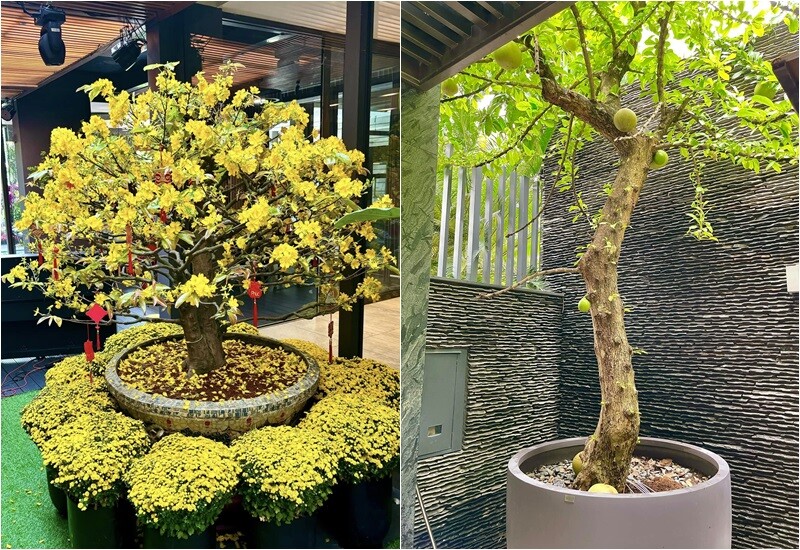 Dù không phải biệt thự rộng lớn, nhưng tổ ấm của cô lại khiến ai ngắm nhìn cũng phải gật gù khen “có gu” và “có tình”.
