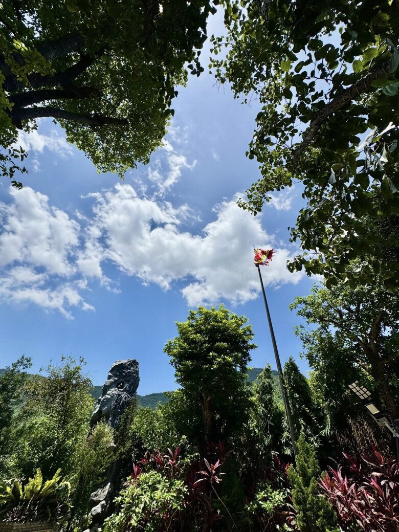 Nữ NSND trẻ nhất Việt Nam sở hữu amp;#34;biệt phủamp;#34; 8.000m2: Sống thảnh thơi trong khu vườn xinh đẹp, trái chín đầy vườn - 12