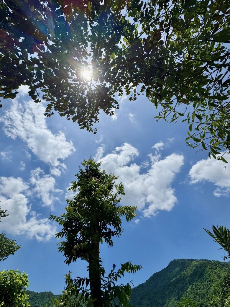 Nữ NSND trẻ nhất Việt Nam sở hữu amp;#34;biệt phủamp;#34; 8.000m2: Sống thảnh thơi trong khu vườn xinh đẹp, trái chín đầy vườn - 10