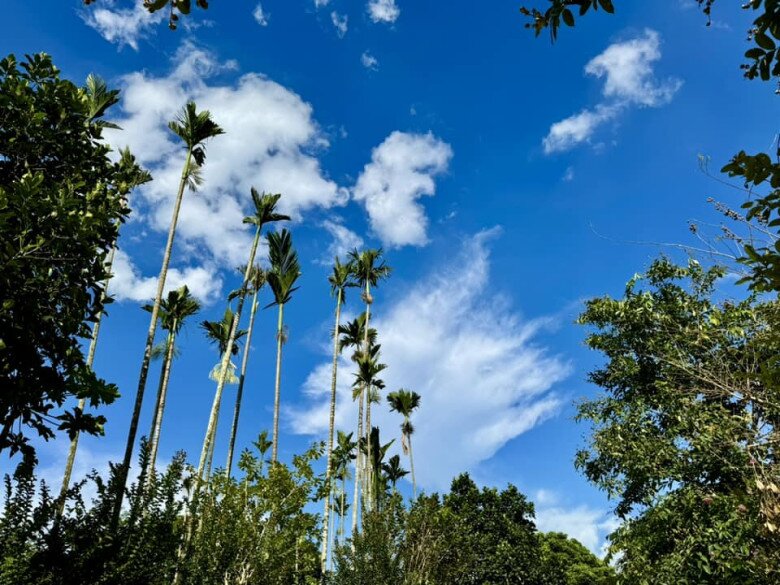 6 năm Hến không còn hứng thú với hào quang, với âm nhạc mà chỉ thích loanh quanh vườn tược, gieo luống rau ăn, trồng cây nhãn, vải, xoài, vú sữa, nhót, khế, roi, chay, hồng xiêm... mà ngắm rồi hít hà nhóp nhép cái miệng vui sướng, ca sĩ sinh năm 1982 tâm sự.