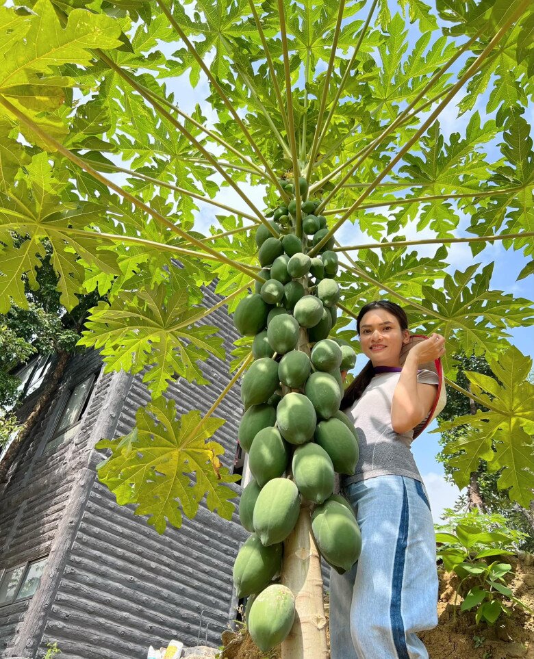 Nữ NSND trẻ nhất Việt Nam sở hữu amp;#34;biệt phủamp;#34; 8.000m2: Sống thảnh thơi trong khu vườn xinh đẹp, trái chín đầy vườn - 8