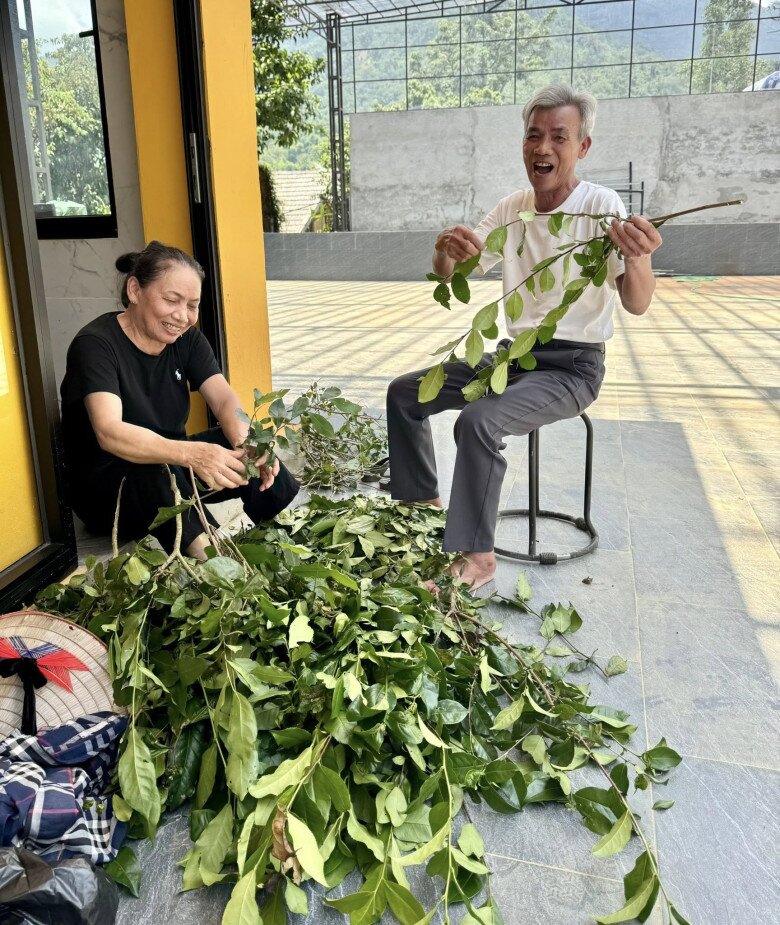 Tháng trước, giọng ca Nghệ An khoe cảnh bố mẹ lên thăm cơ ngơi riêng rộng lớn của cô và vui vẻ khi thu hoạch những nông phẩm từ khu vườn.