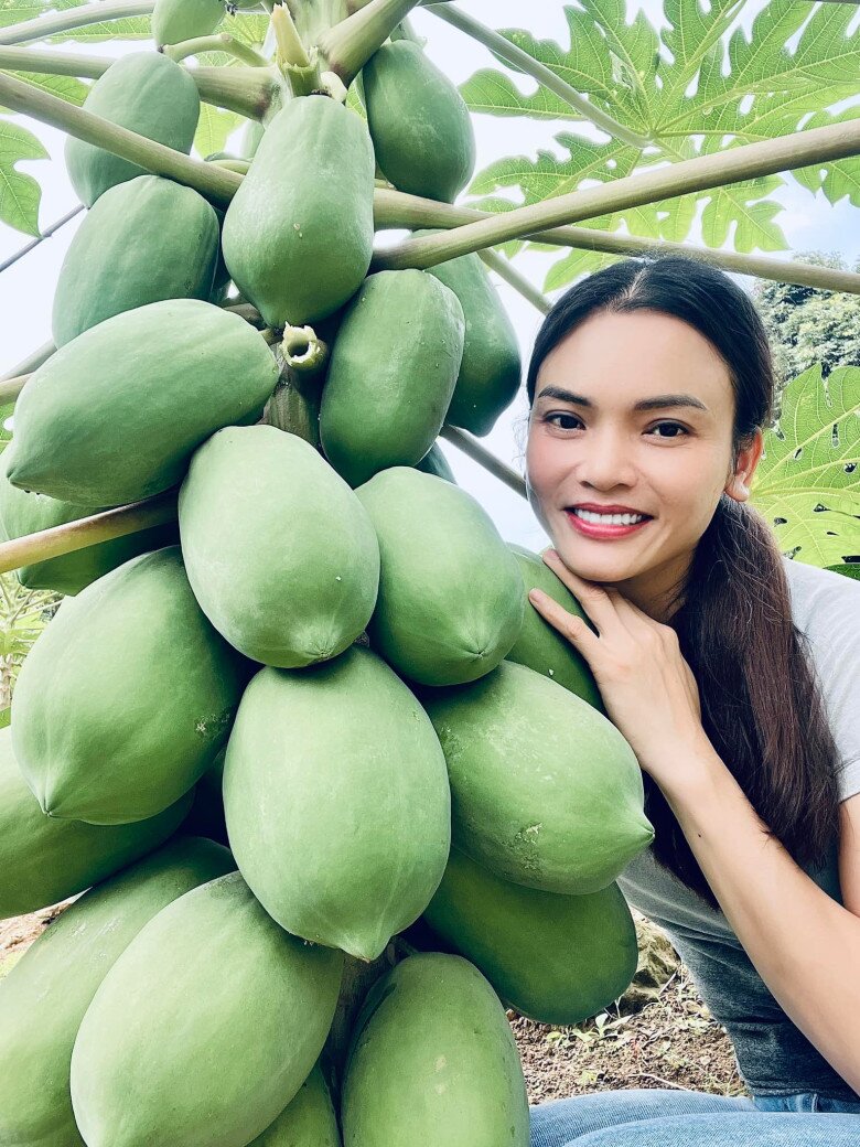 Cây nào cây nấy sai trái lúc lỉu. Có lần, Phạm Phương Thảo khoe đu đủ chi chít quả làm mọi người xuýt xoa. Cô bày tỏ: Đu đủ gì mà cứ hái lại ngoi thêm quả ra. Tuy nhỏ hơn lứa 1 nhưng cũng khiến người nông dân sung sướng tận hưởng, bõ công gieo mầm quá các cụ ạ.