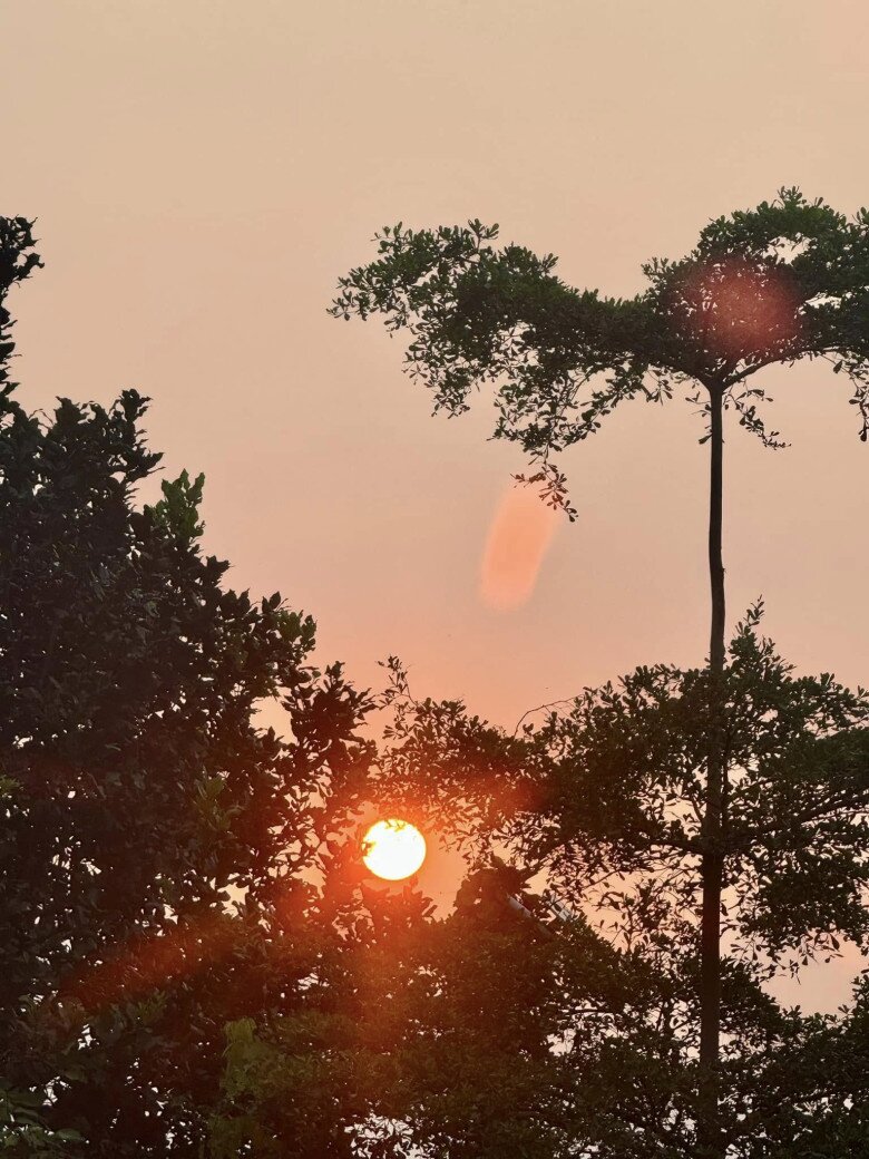 Phạm Phương Thảo sống giản dị trong biệt phủ, thấy trời xanh mây trắng vẫn dịu dàng, trai đẹp vẫn lượn lờ trong khu vườn xinh đẹp...