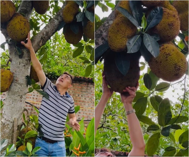 Nữ NSND trẻ nhất Việt Nam sở hữu amp;#34;biệt phủamp;#34; 8.000m2: Sống thảnh thơi trong khu vườn xinh đẹp, trái chín đầy vườn - 6