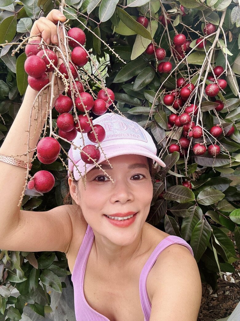 Nhãn tím cũng đang vào mùa. Những chùm quả chín mọng đỏ rực, căng tròn như viên ngọc, cho thấy sự mát tay làm vườn của nữ ca sĩ.