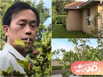 Em trai ruột hé lộ khu vườn rộng nhà Hoài Linh bên Mỹ, có cây ổi lạ và nhiều cây trái Việt Nam