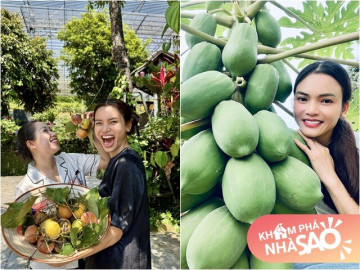 Nữ NSND trẻ nhất Việt Nam sở hữu biệt phủ 8.000m2: Sống thảnh thơi trong khu vườn xinh đẹp, trái chín đầy vườn