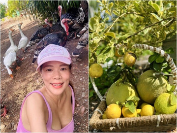 Phú bà showbiz Việt khoe nông sản đã mắt trong khu vườn 10.000m2, có giống gà hàng triệu đồng/con