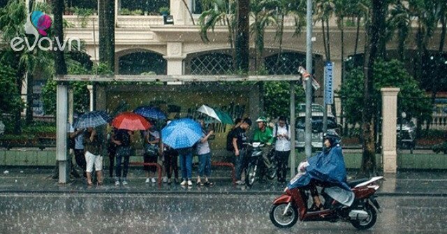 Bão Mưa Trở Lại Miền Bắc: Hà Nội Khi Nào Có Mưa, Thời Tiết Dịu Mát?