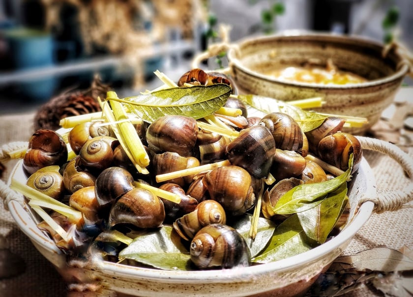 Ốc ngon nhất vào mùa thu