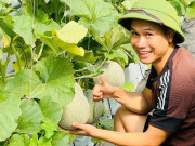 Kỹ sư cơ khí chuyển nghề trồng nông sản công nghệ cao, nhẹ nhàng bỏ túi hàng trăm triệu đồng/năm